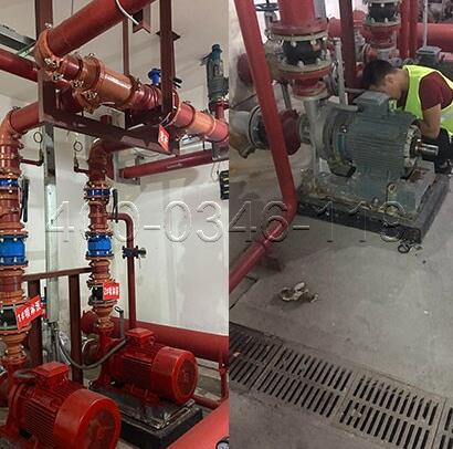 �z�y�����þS�o